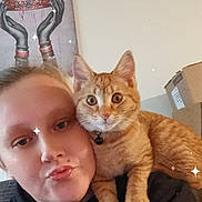 Toby joined the competition — help win amazing prizes! person, cat, orange_tabby, pet, indoor, selfie, shoulder, face, expression, animal, feline, decor, painting, box, casual, sparkles, cute, companion, portrait, cozy