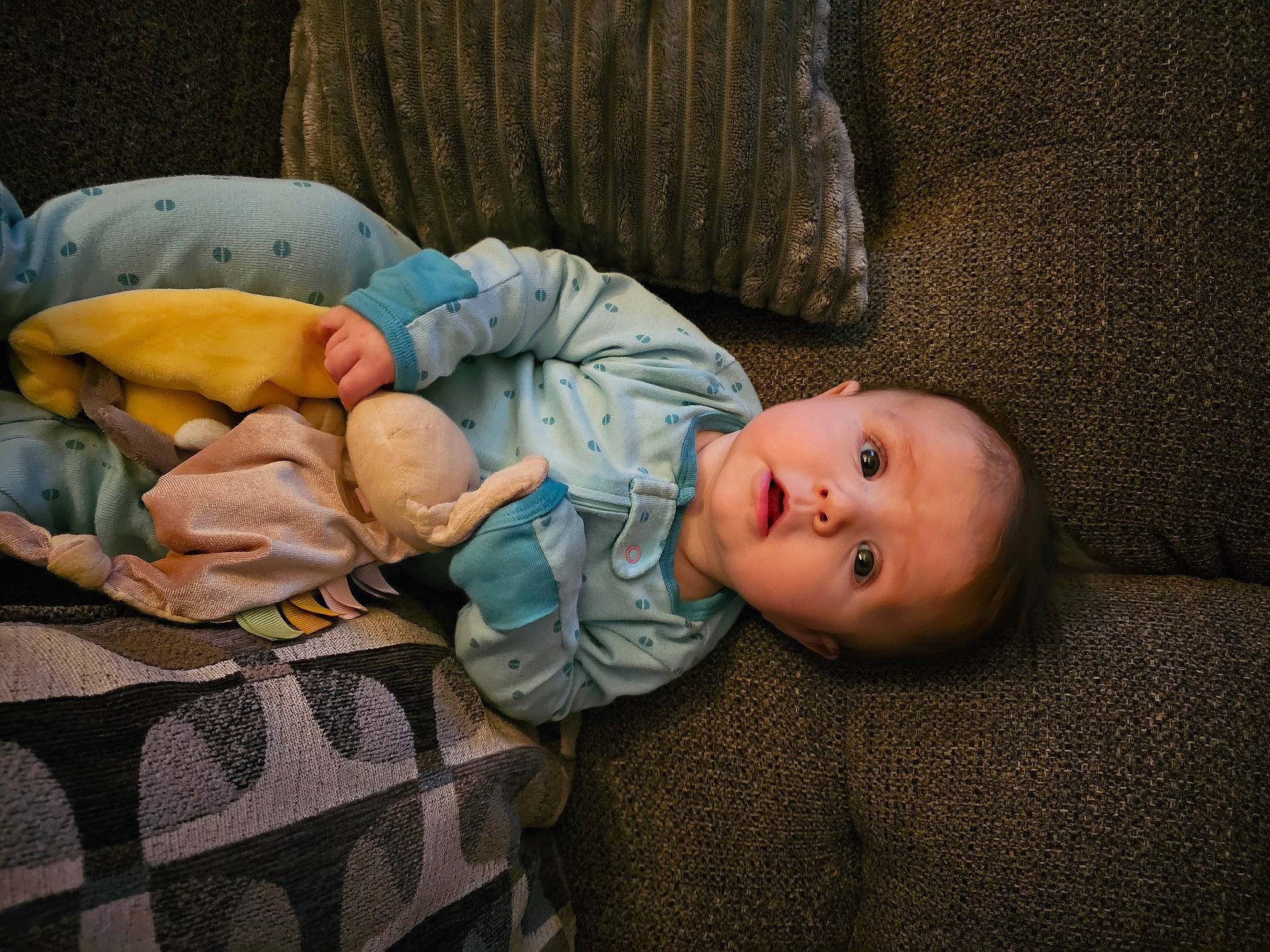 Bennit joined the competition — help win amazing prizes! baby, baby_products, baby_toddler_clothing, cheek, child, comfort, couch, hand, human_body, leg, linens, mammal, mouth, person, room, sitting, skin, textile, toddler, tree