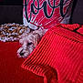 dog, blanket, red, couch, pillow, heart, plush_toy, lion, resting, cozy, indoor, fur, cute, snuggling, home_decor, soft, pet, animal, comfort, relaxation
