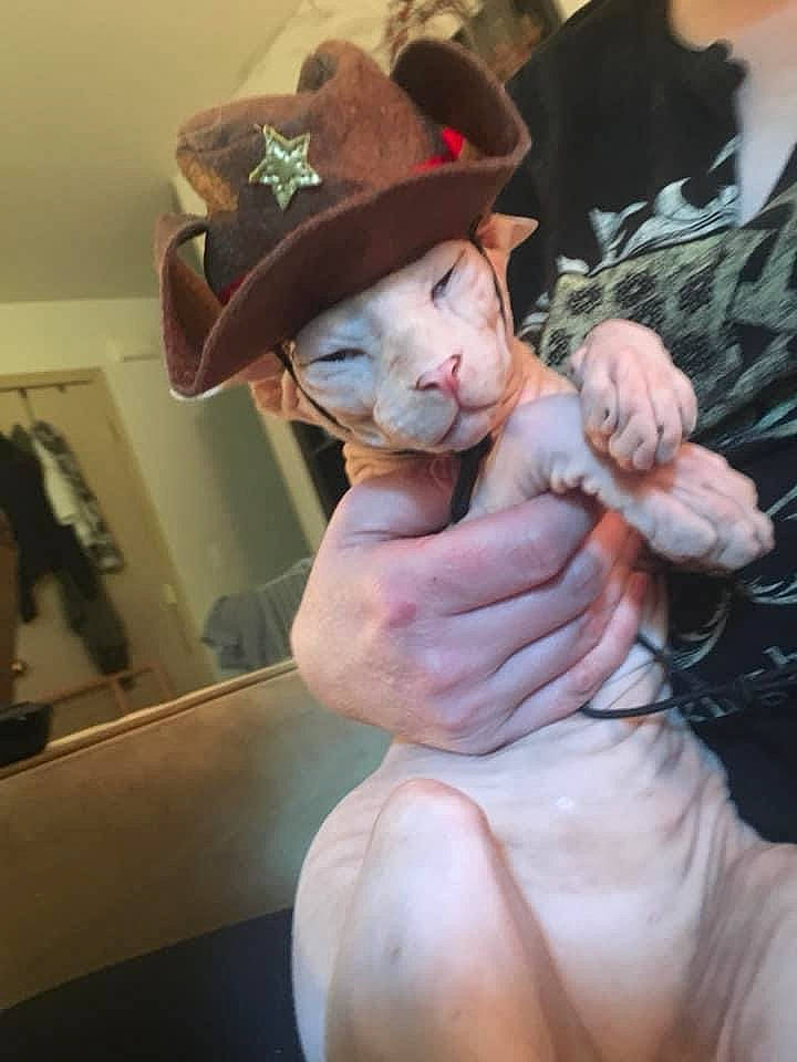 Merlin is registered to the contest to win money with this photo: abdomen, art, canidae, cap, chest, child, companion_dog, fawn, felidae, fictional_character, flesh, fur, gesture, hat, picture_frame, sun_hat, toy, trunk, whiskers, zombie