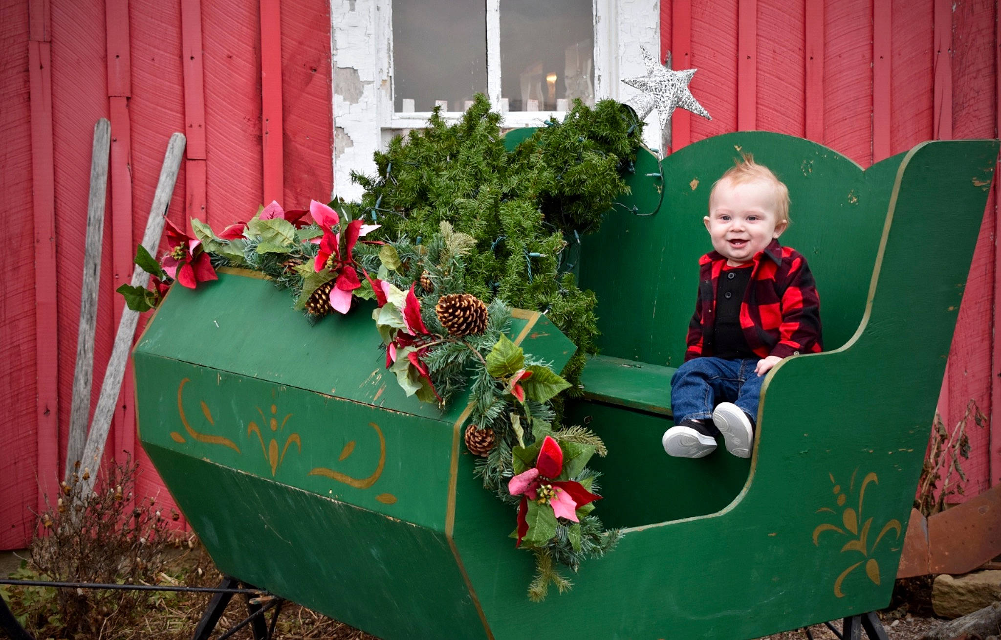 Konner is registered to the contest to win money with this photo: flower, flowerpot, green, joy, person, plant