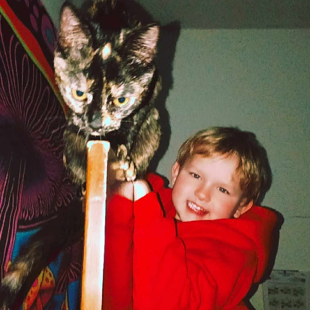 Asher is registered to the contest to win money with this photo: child, cat, red_hoodie, indoor, wooden_chair, smiling, curious_cat, tortoiseshell_cat, wall_art, colorful_tapestry, happy, portrait, playful, home, furniture, person, animal, cute, young_child, pet