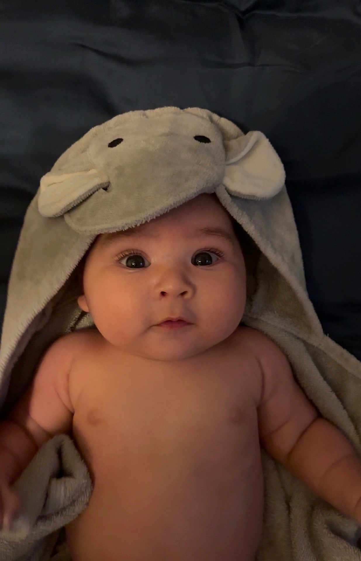 Alessandro is registered to the contest to win money with this photo: baby, infant, towel, elephant_hood, cute, face, portrait, child, skin, blanket, expression, eyes, headwear, indoor, person, newborn, soft, warm, adorable, curious