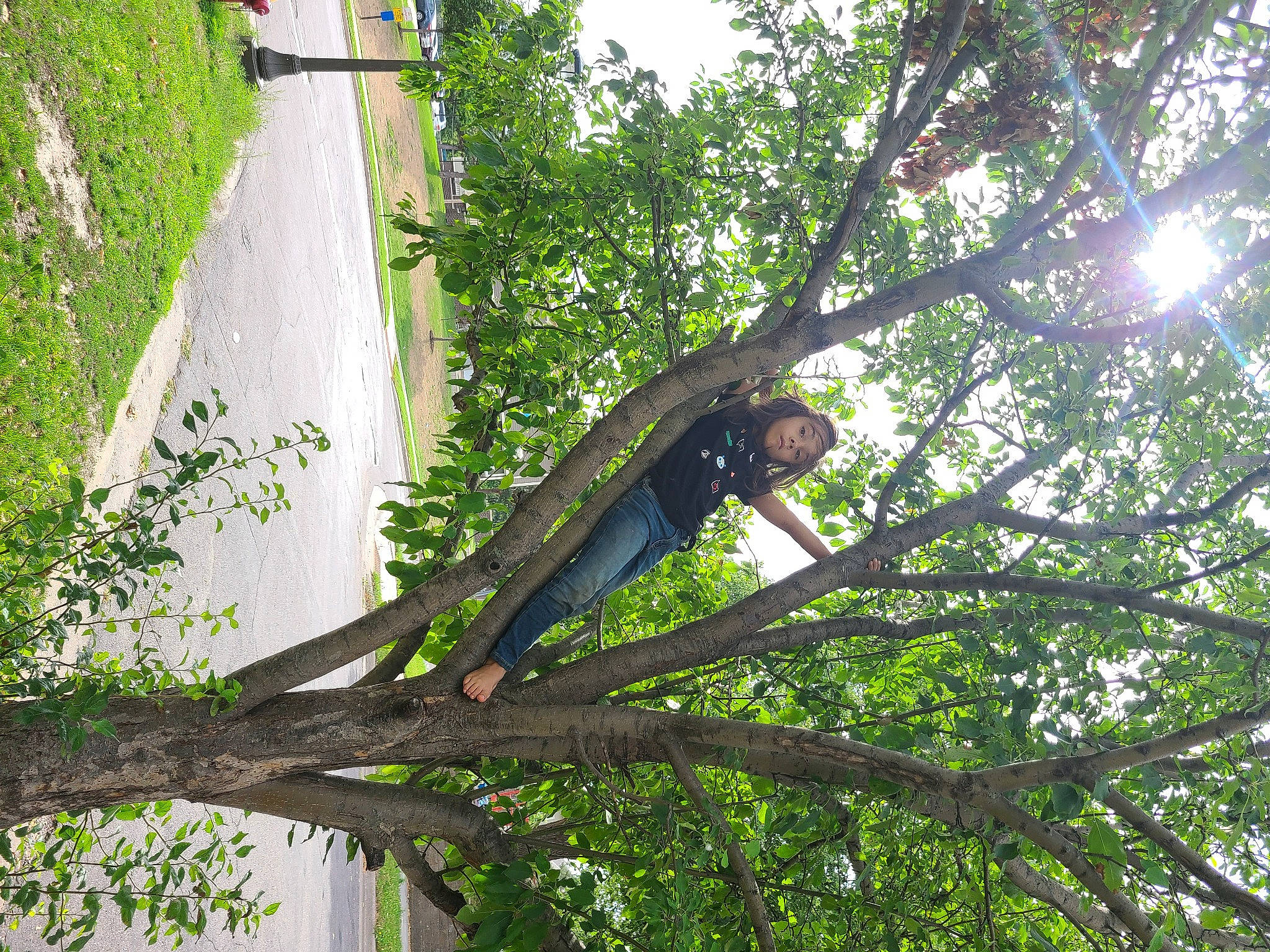 Naomi is registered to the contest to win money with this photo: beak, botany, branch, elbow, forest, jungle, people_in_nature, person, plant, plant_stem, shade, temperate_broadleaf_and_mixed_forest, terrestrial_animal, terrestrial_plant, tints_and_shades, tree, trunk, twig, vegetation, woodland