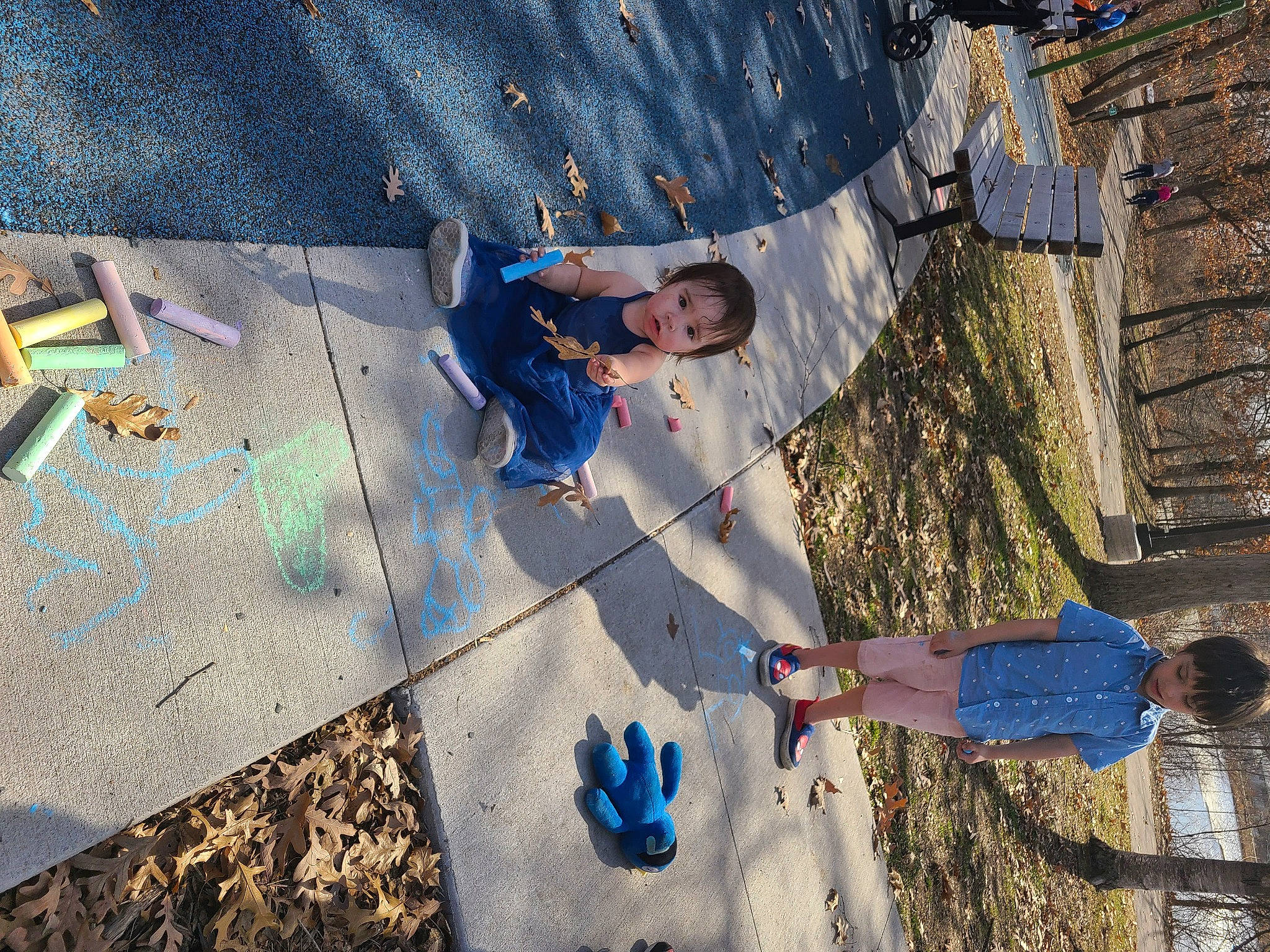 Valerie is registered to the contest to win money with this photo: adventure, asphalt, city, concrete, electric_blue, fun, grass, leisure, pattern, people_in_nature, person, play, recreation, road_surface, shadow, sidewalk, soil, t_shirt, tints_and_shades, tree