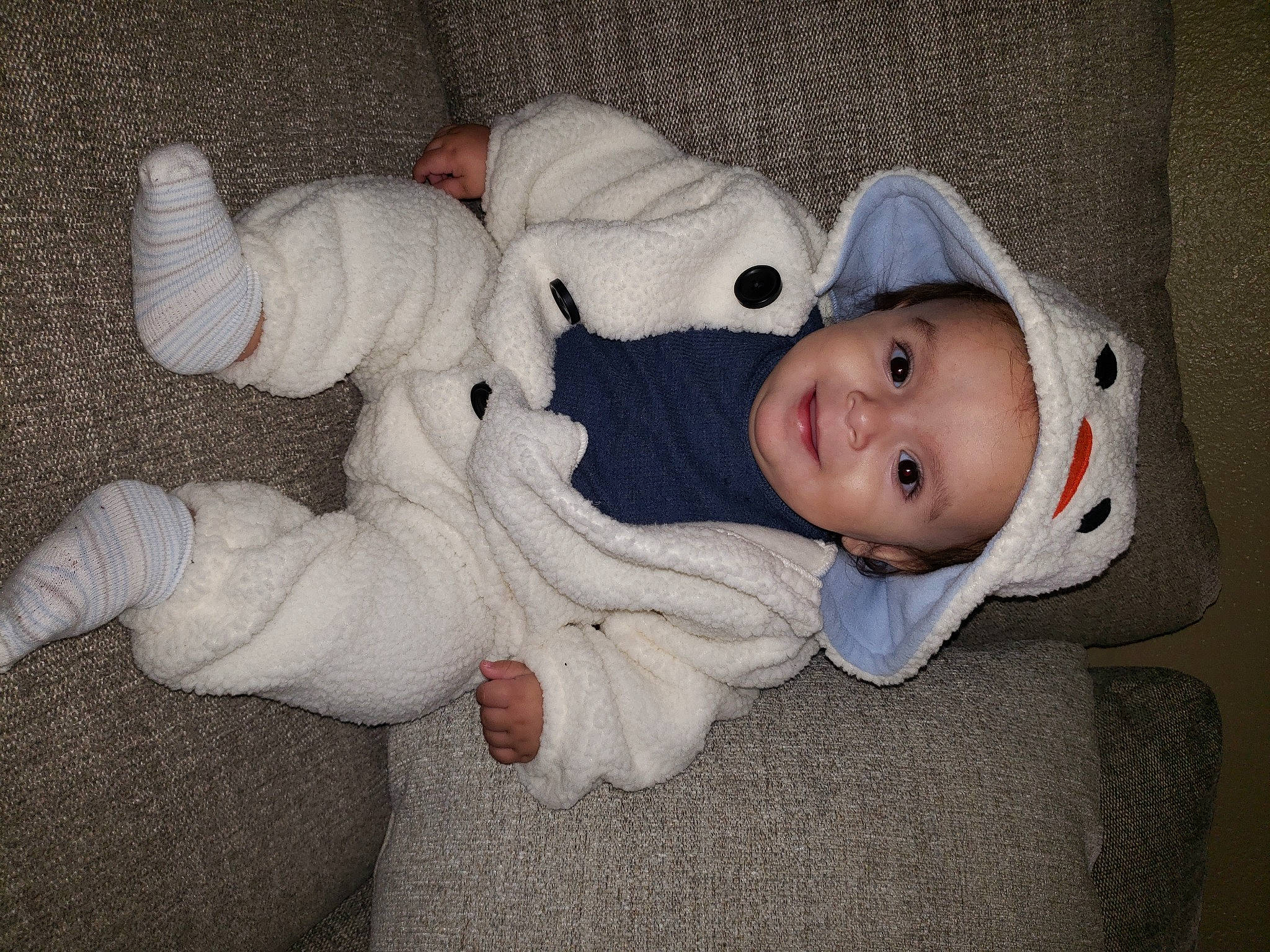 Andrew is registered to the contest to win money with this photo: baby, baby_toddler_clothing, cheek, child, comfort, fur, head, joy, nose, person, room, smile, toddler, wood, wool