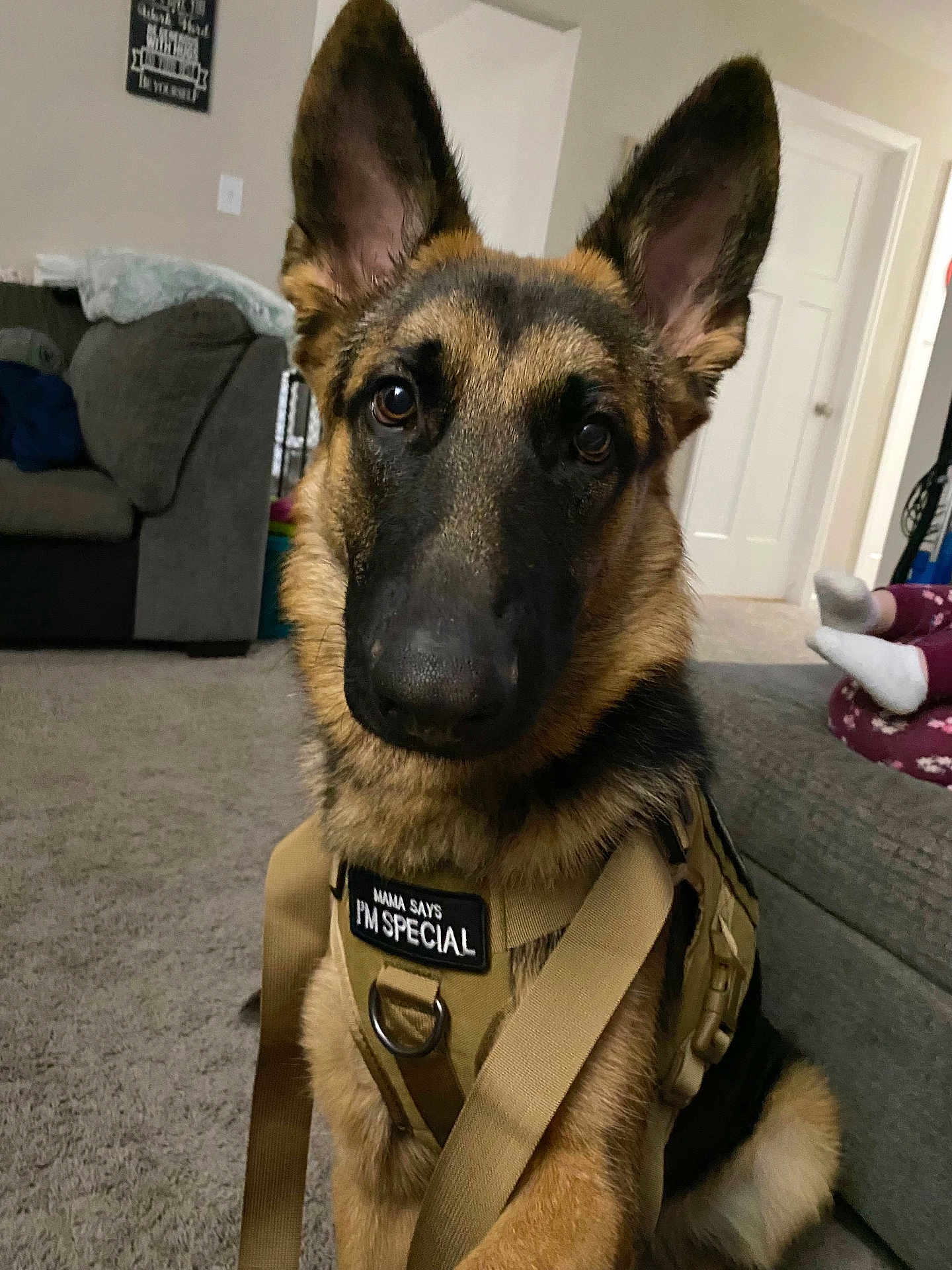 Milo