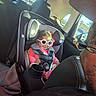 adult, baby, car_interior, car_seat, child, clothing, cute, glasses, hair, headrest, person, safety, seat, seatbelt, smile, sunglasses, sunlight, travel, vehicle, window