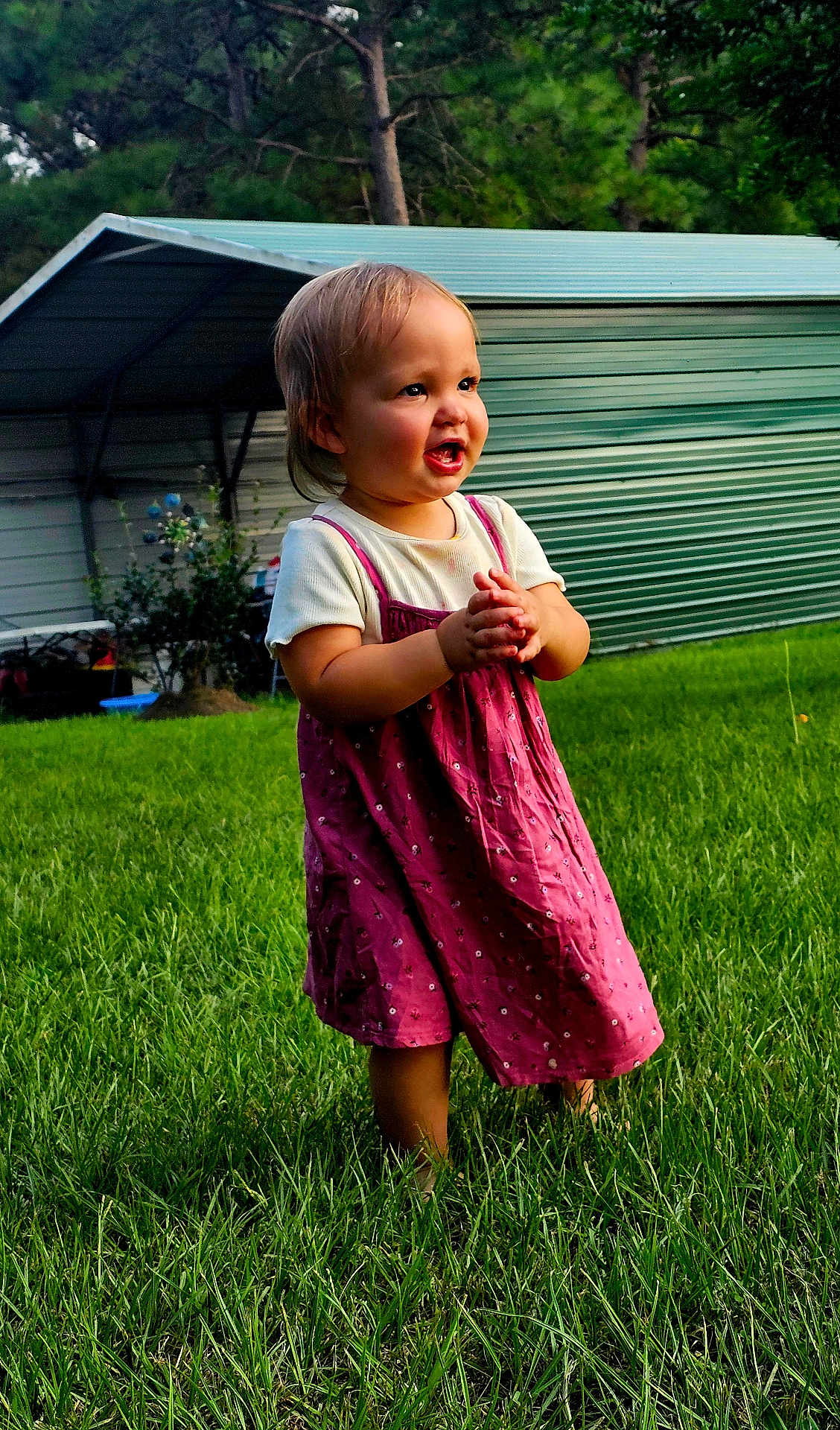 Evelyn joined the competition — help win amazing prizes! toddler, child, grass, outdoor, smiling, clapping, dress, white_shirt, greenery, shed, trees, daylight, happy, person, nature, young_child, playful, summer, cute, portrait