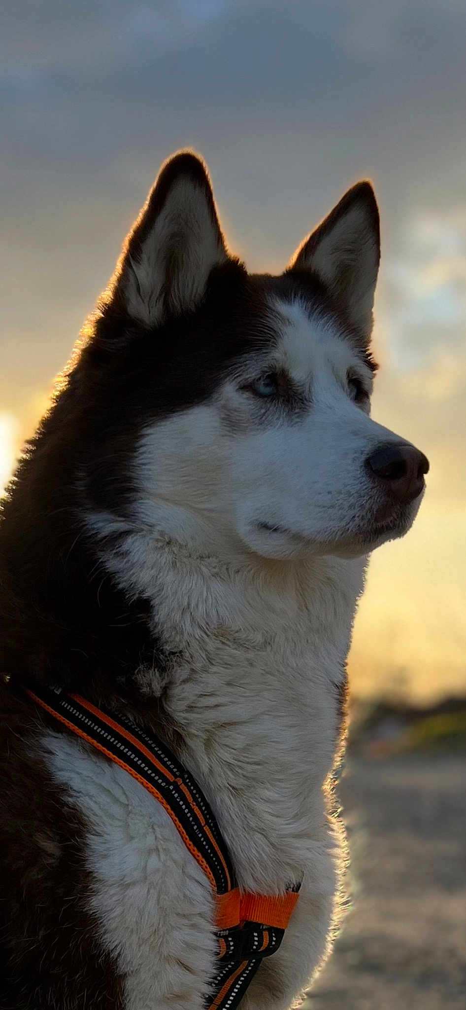 Nina