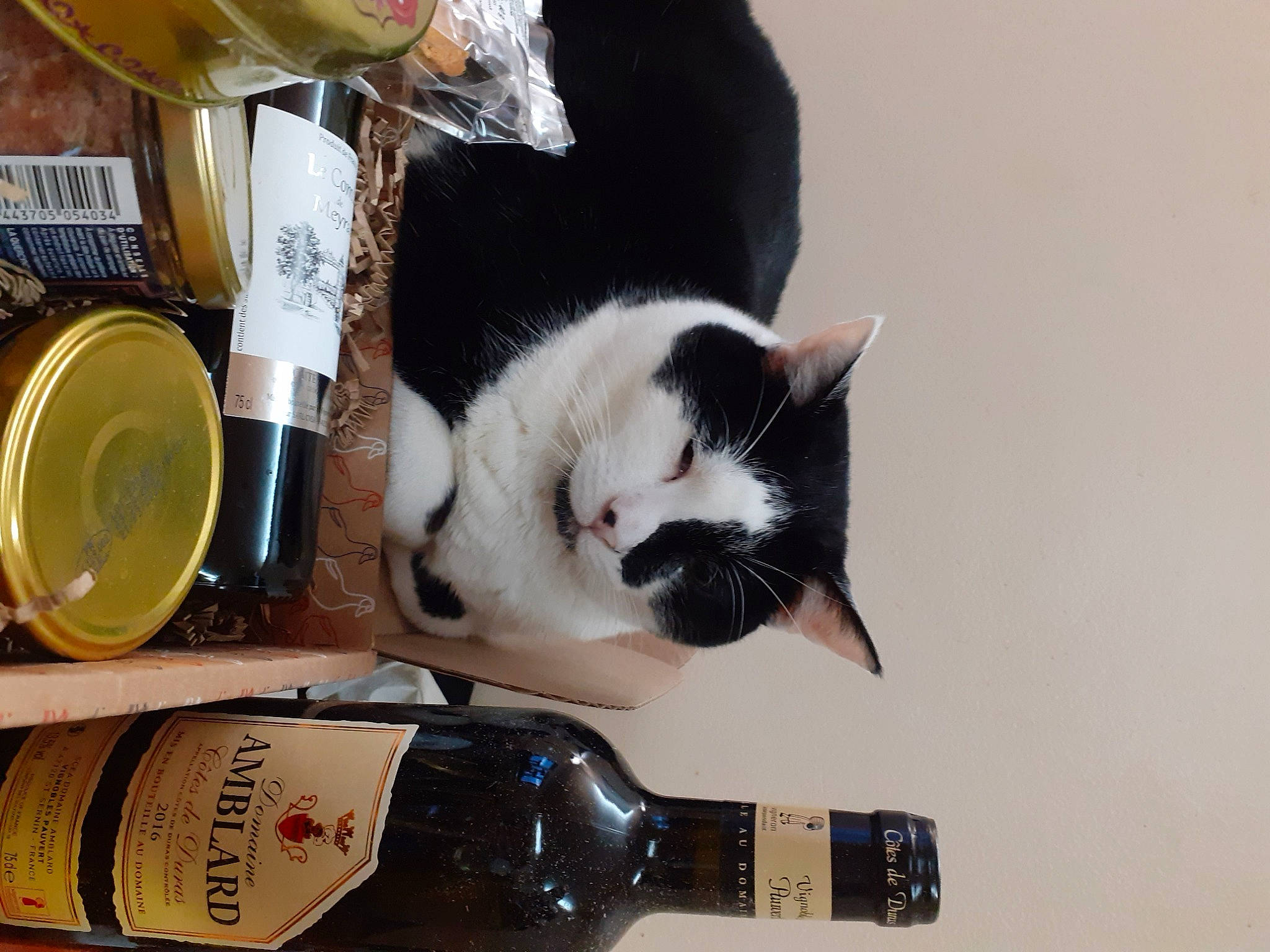 Ninja a rejoint le concours — aidez-le/la à gagner de superbes lots ! alcohol, alcoholic_beverage, bottle, bottle_cap, box, carnivore, cat, distilled_beverage, drink, drinkware, felidae, food, glass_bottle, liquid, small_to_medium_sized_cats, tail, whiskers, wine, wine_bottle, wood