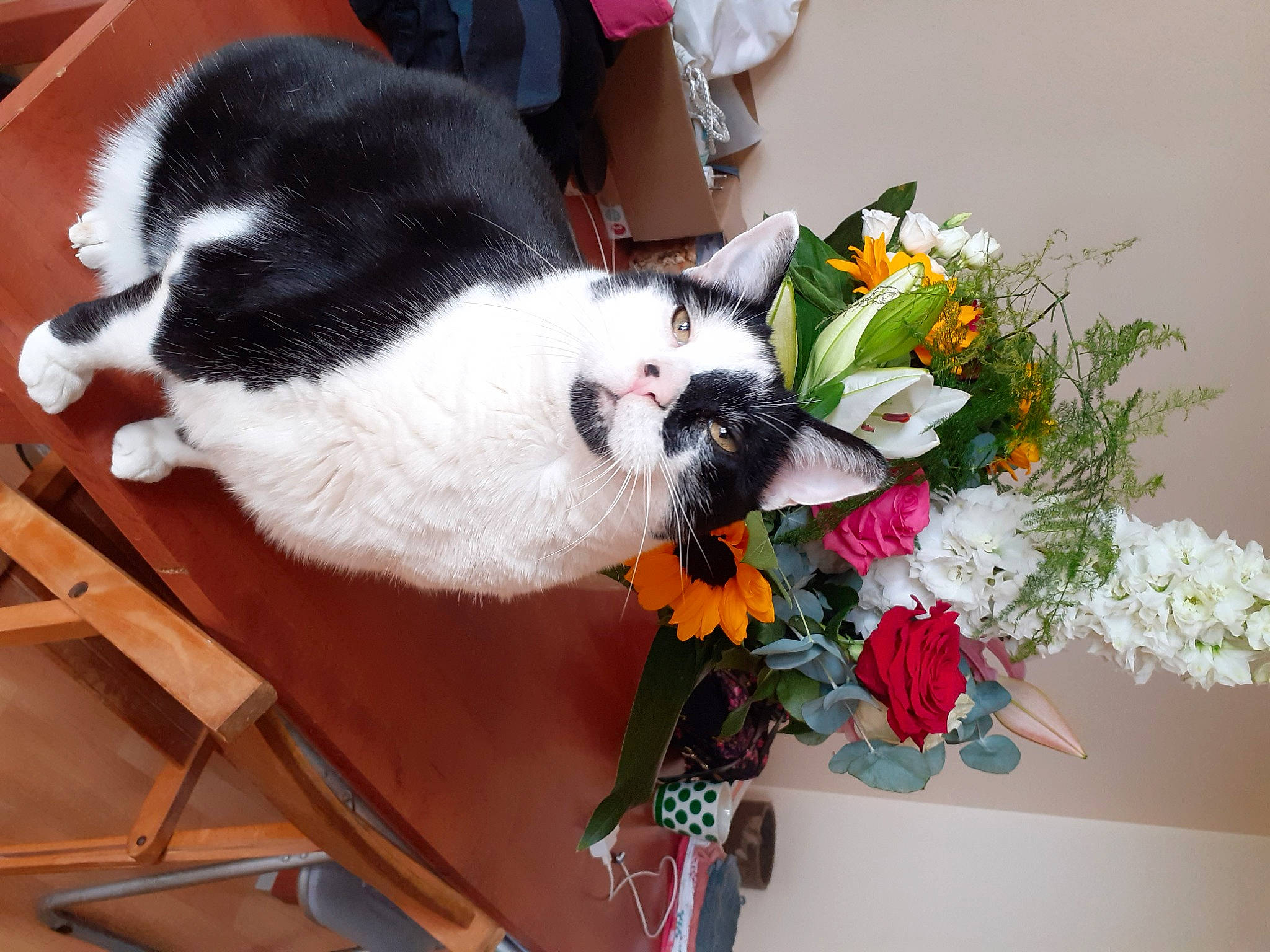 Ninja a rejoint le concours — aidez-le/la à gagner de superbes lots ! annual_plant, artificial_flower, carnivore, cat, chair, comfort, companion_dog, felidae, floristry, flower, flower_arranging, flowerpot, grass, petal, plant, small_to_medium_sized_cats, table, tail, textile, whiskers