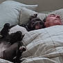 dog, human, bed, blanket, pillow, sleeping, resting, indoor, cozy, pet, companion, relaxed, snuggle, cute, animal, canine, comfort, domestic, together, napping