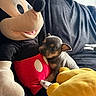 animal, black_couch, closeup, companion, cozy, cute, dog, fabric, indoors, mickey_mouse, pet, playful, plush_toy, puppy, resting, small_dog, snuggling, soft_texture, stuffed_animal, toy