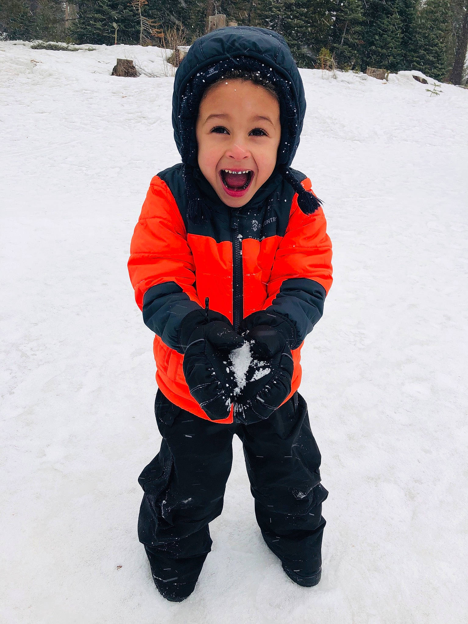 Josiah is registered to the contest to win money with this photo: black_hair, cheek, child, freezing, fun, geological_phenomenon, glove, hood, jacket, joy, outerwear, person, personal_protective_equipment, play, playing_in_the_snow, recreation, smile, snow, toddler, trousers