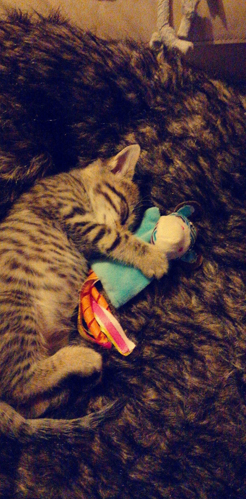 Lilith participe au concours pour gagner de l'argent avec cette photo : asian, california_spangled, carnivore, cat, claw, domestic_short_haired_cat, dragon_li, egyptian_mau, european_shorthair, felidae, fur, illustration, kitten, ocicat, pixie_bob, small_to_medium_sized_cats, tabby_cat, toyger, whiskers, wild_cat