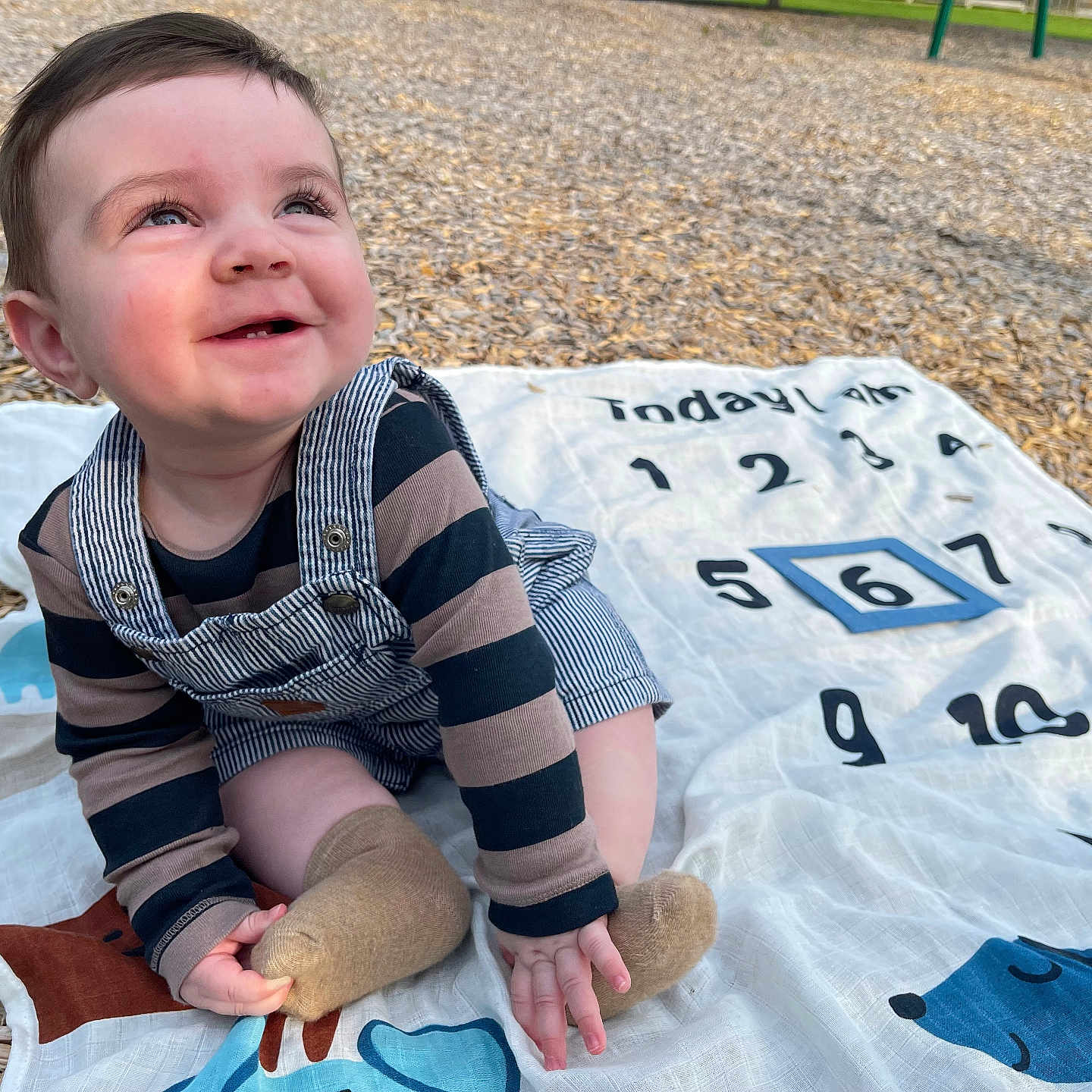 Joaquin is registered to the contest to win money with this photo: baby, blanket, bodypart, clothing, face, finger, grass, hand, happy, head, hosiery, outdoors, pants, person, photography, plant, portrait, quilt, sitting, sock