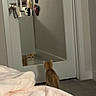 Poachy is registered to the contest to win money with this photo: cat, kitten, ginger_cat, animal, pet, reflection, mirror, bedroom, bed, blanket, indoors, home, door, floor, carpet, curious, sitting, standing, portrait, playful