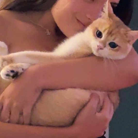 Poachy joined the competition — help win amazing prizes! cat, kitten, orange_cat, white_cat, pet, animal, person, woman, cuddling, hugging, affection, portrait, closeup, indoors, arms, hands, fur, whiskers, blue_eyes, cute
