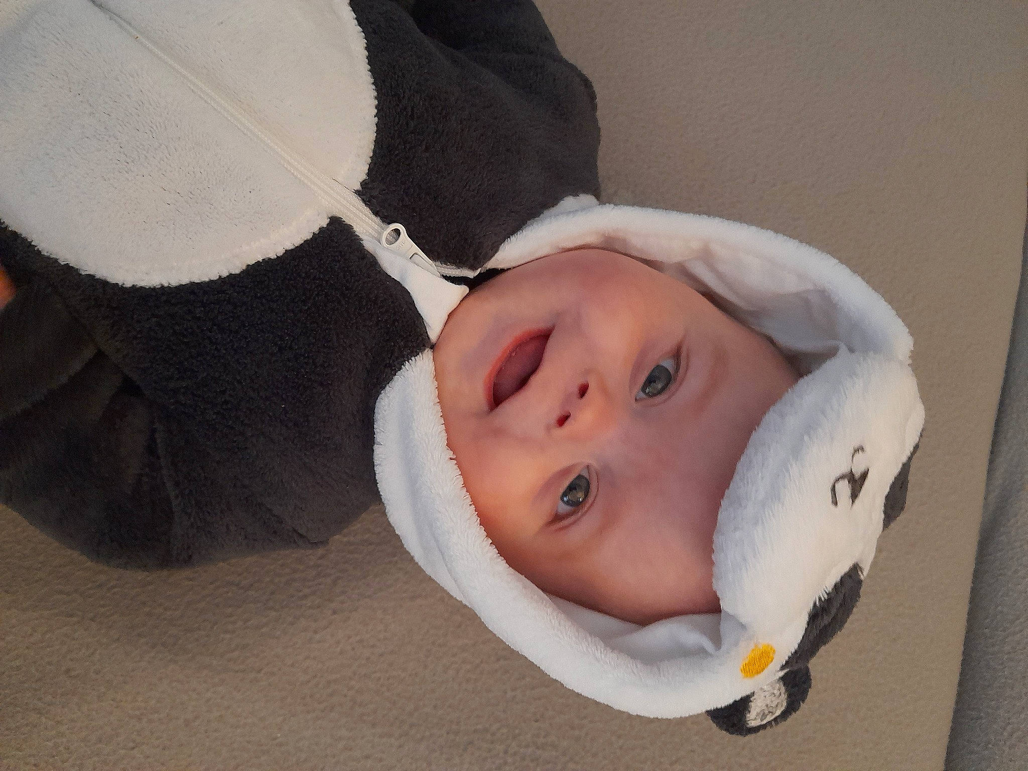 Gabyn a rejoint le concours — aidez-le/la à gagner de superbes lots ! baby, baby_products, baby_toddler_clothing, cap, cheek, child, comfort, eyebrow, eyelash, fashion_accessory, fun, grass, hair_accessory, happy, headgear, headwear, linens, lip, neck, person