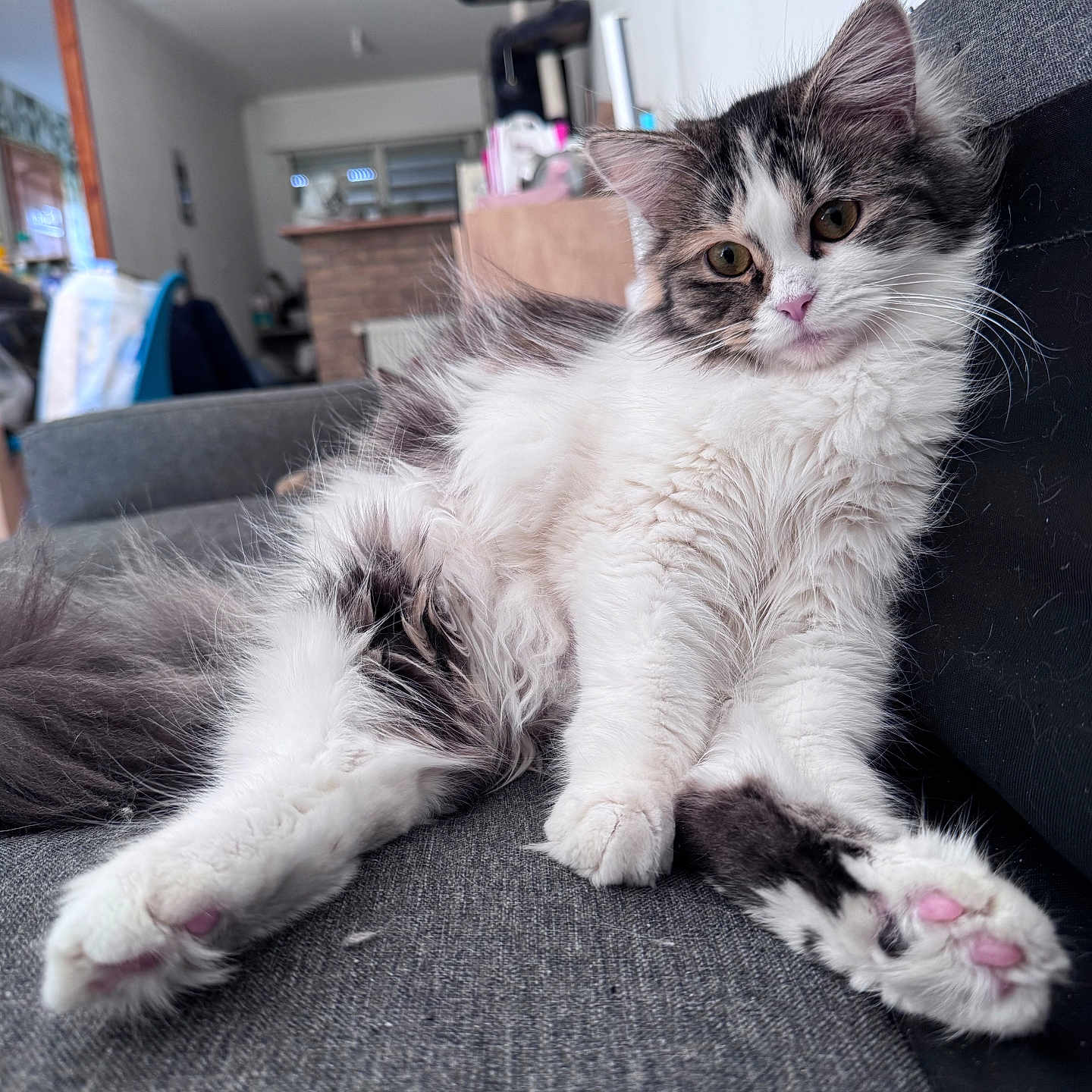 Abby