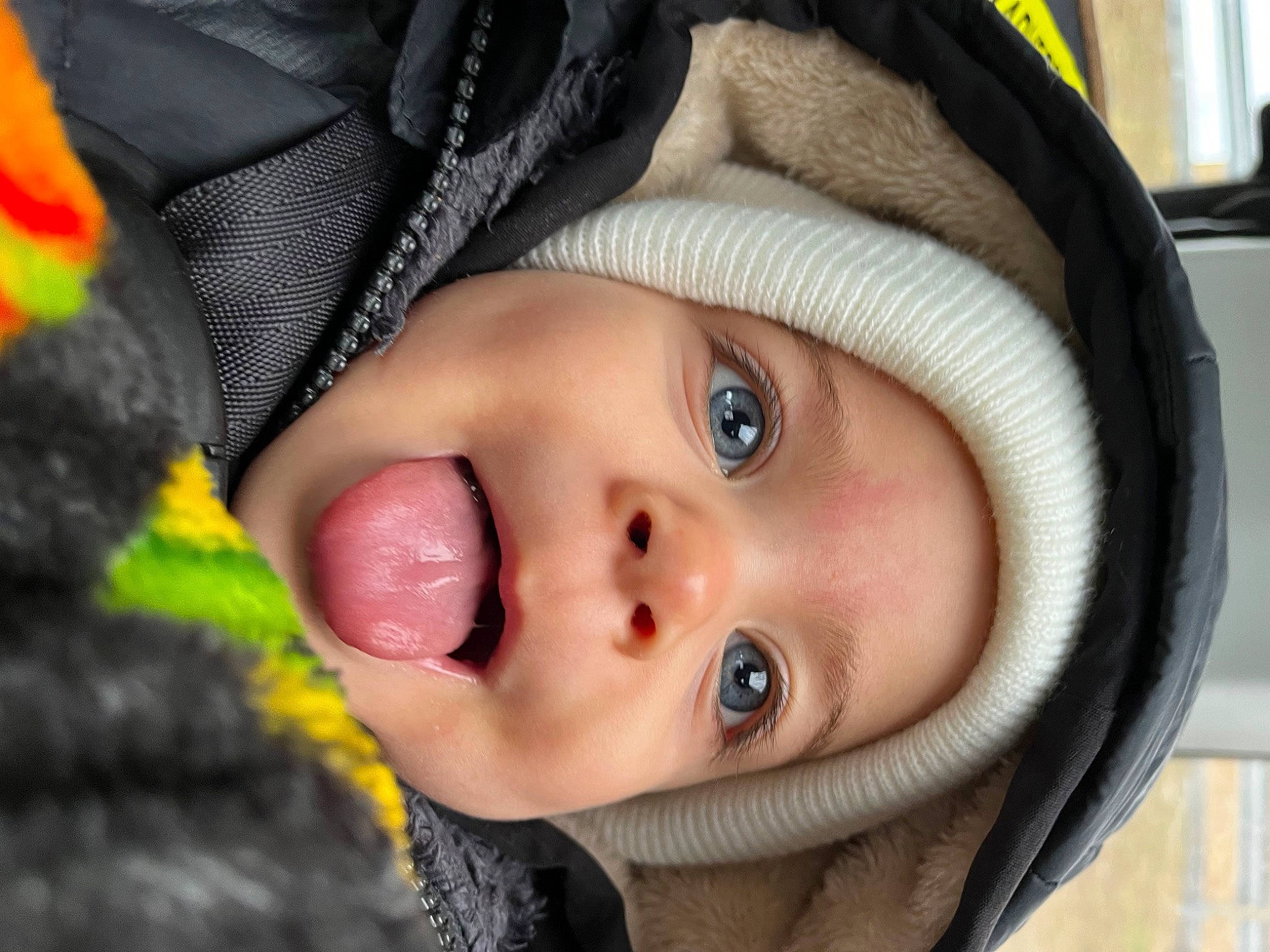 Ismael is registered to the contest to win money with this photo: baby, cap, cheek, child, close_up, cool, eye, eyebrow, eyelash, fashion_accessory, fur, hat, head, headwear, iris, lip, mouth, nose, person, skin