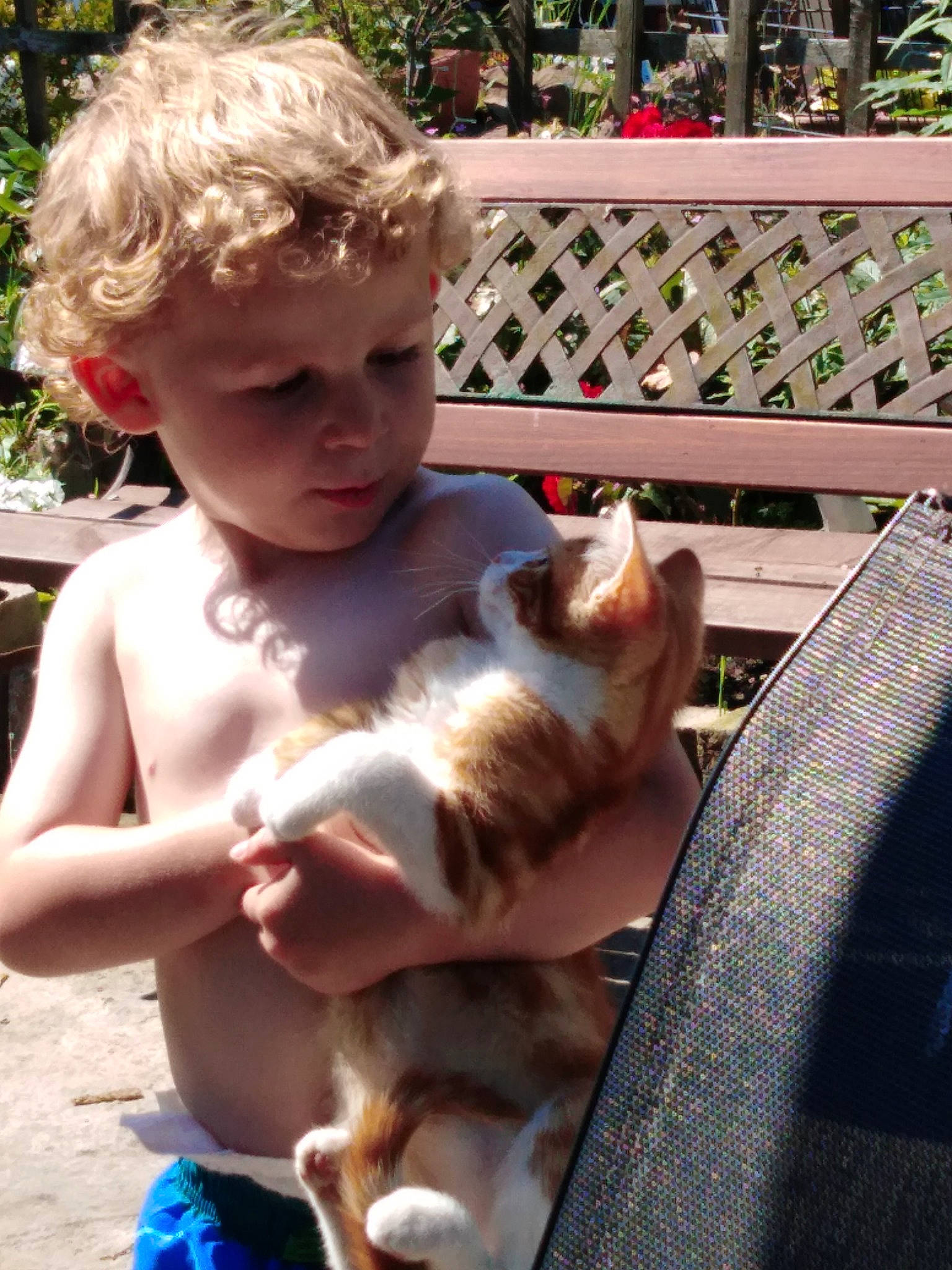 Darius is registered to the contest to win money with this photo: canidae, carnivore, child, dog_breed, fawn, headwear, person, play, sporting_group, toddler