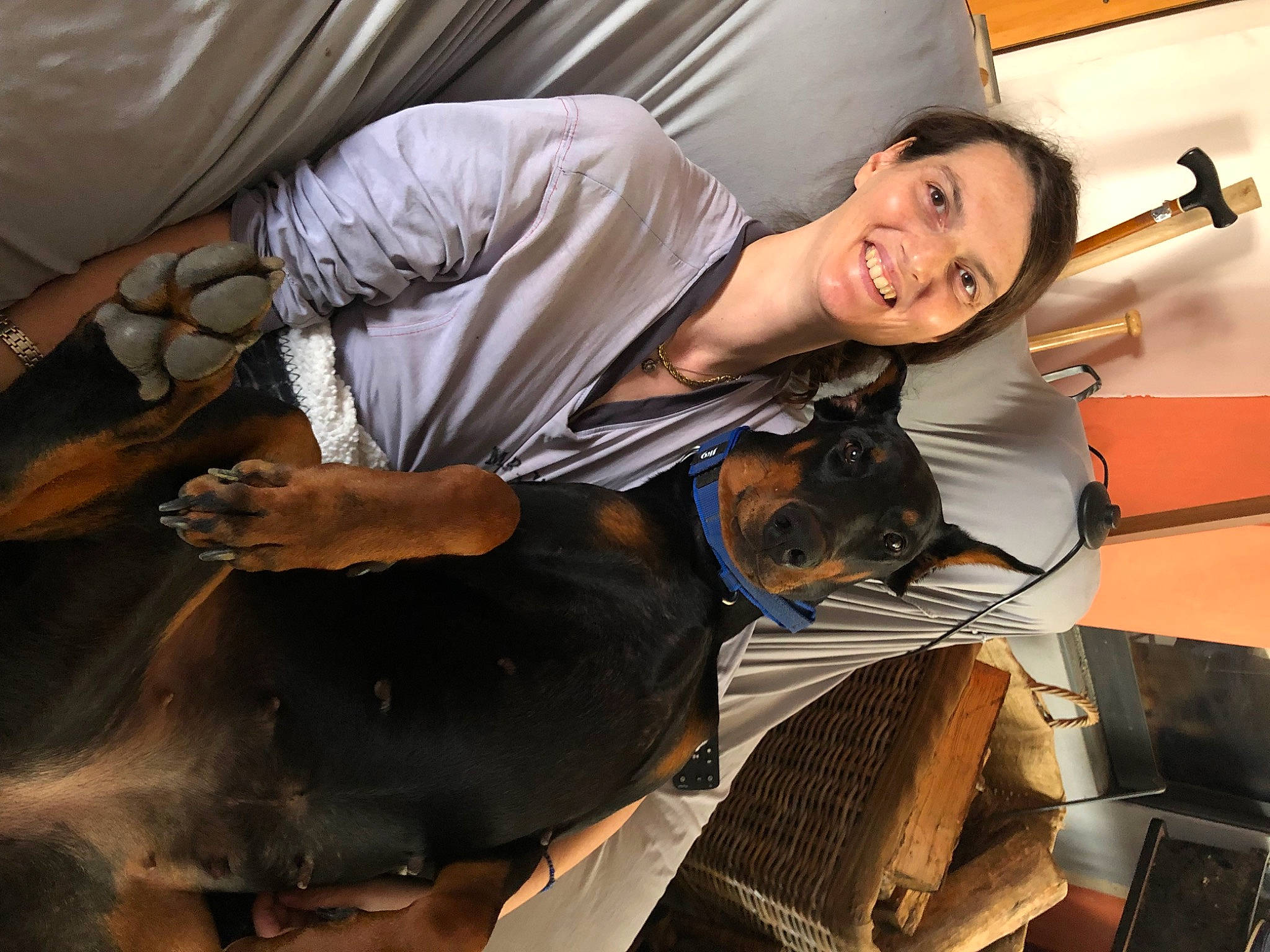 Chaussette participe au concours pour gagner de l'argent avec cette photo : auto_part, automotive_design, bag, bumper, carnivore, comfort, companion_dog, fun, fur, linens, luggage_and_bags, luxury_vehicle, room, sitting, smile, vehicle_door