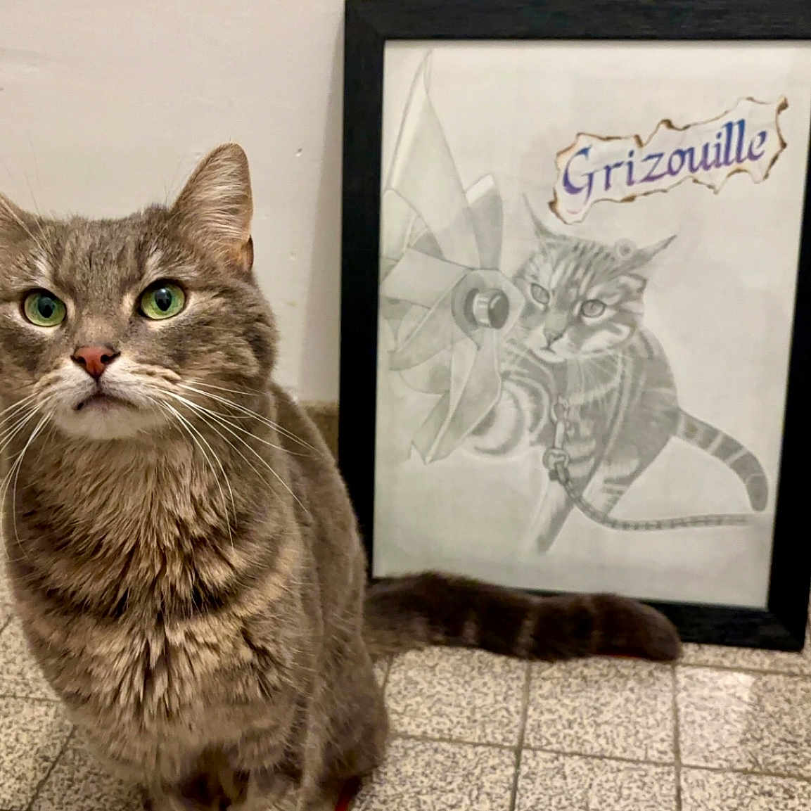 Grizouille participe au concours pour gagner de l'argent avec cette photo : abyssinian, animal, art, cat, envelope, face, greetingcard, hardwood, head, indoors, kitten, manx, painting, person, pet, photoframe, photography, portrait, text, wood