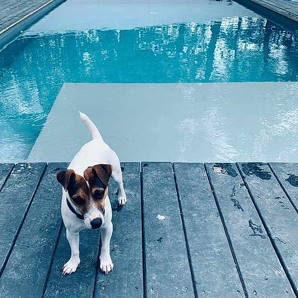 Milo