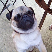 Maya participe au concours pour gagner de l'argent avec cette photo :