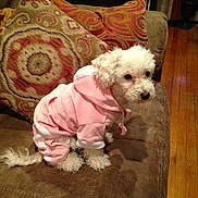 Rosie is registered to the contest to win money with this photo: