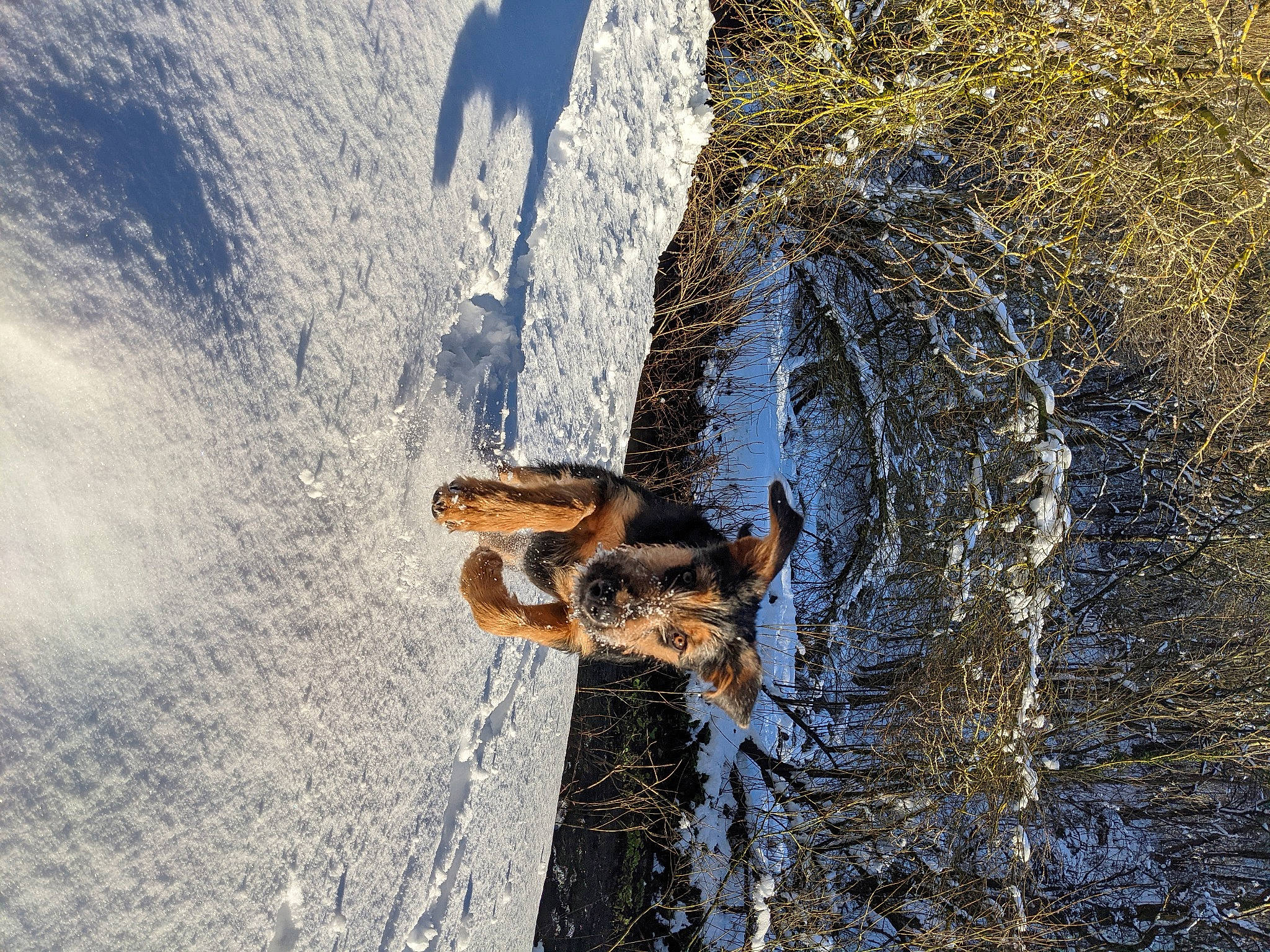 Trig is registered to the contest to win money with this photo: beach, bicycle_wheel, body_of_water, freezing, fun, plant, recreation, reflection, rock, sky, slope, snow, tire, tree, trunk, water, watercourse, wheel, wind_wave, wood