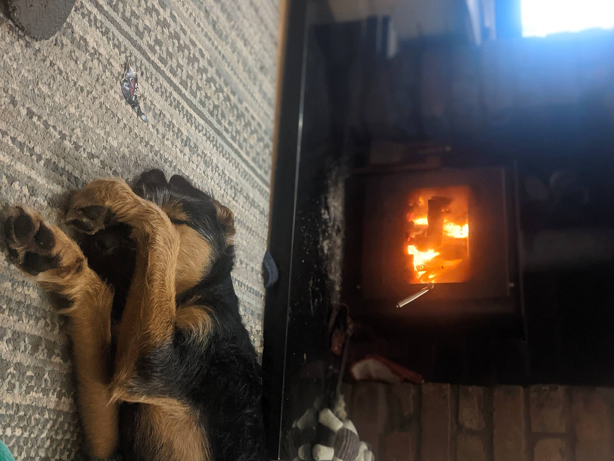 Trig is registered to the contest to win money with this photo: art, building, carving, darkness, fire, fur, gas, glass, heat, history, metal, room, shadow, street, tints_and_shades, toy, visual_arts, window, wood