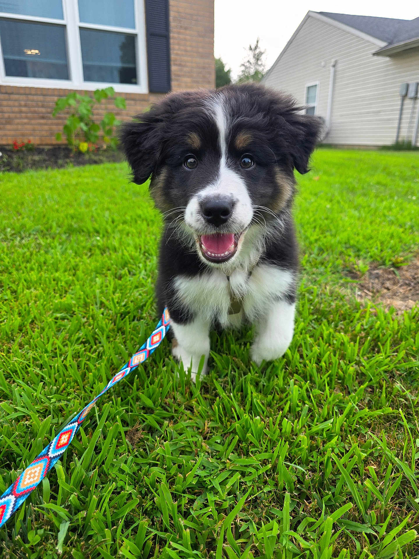 Theodore