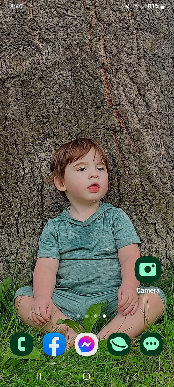 Jaxyn joined the competition — help win amazing prizes! baby_toddler_clothing, botany, eye, facial_expression, flash_photography, grass, green, hair, happy, head, leaf, organ, people_in_nature, person, plant, skin, sleeve, standing, toddler, trunk