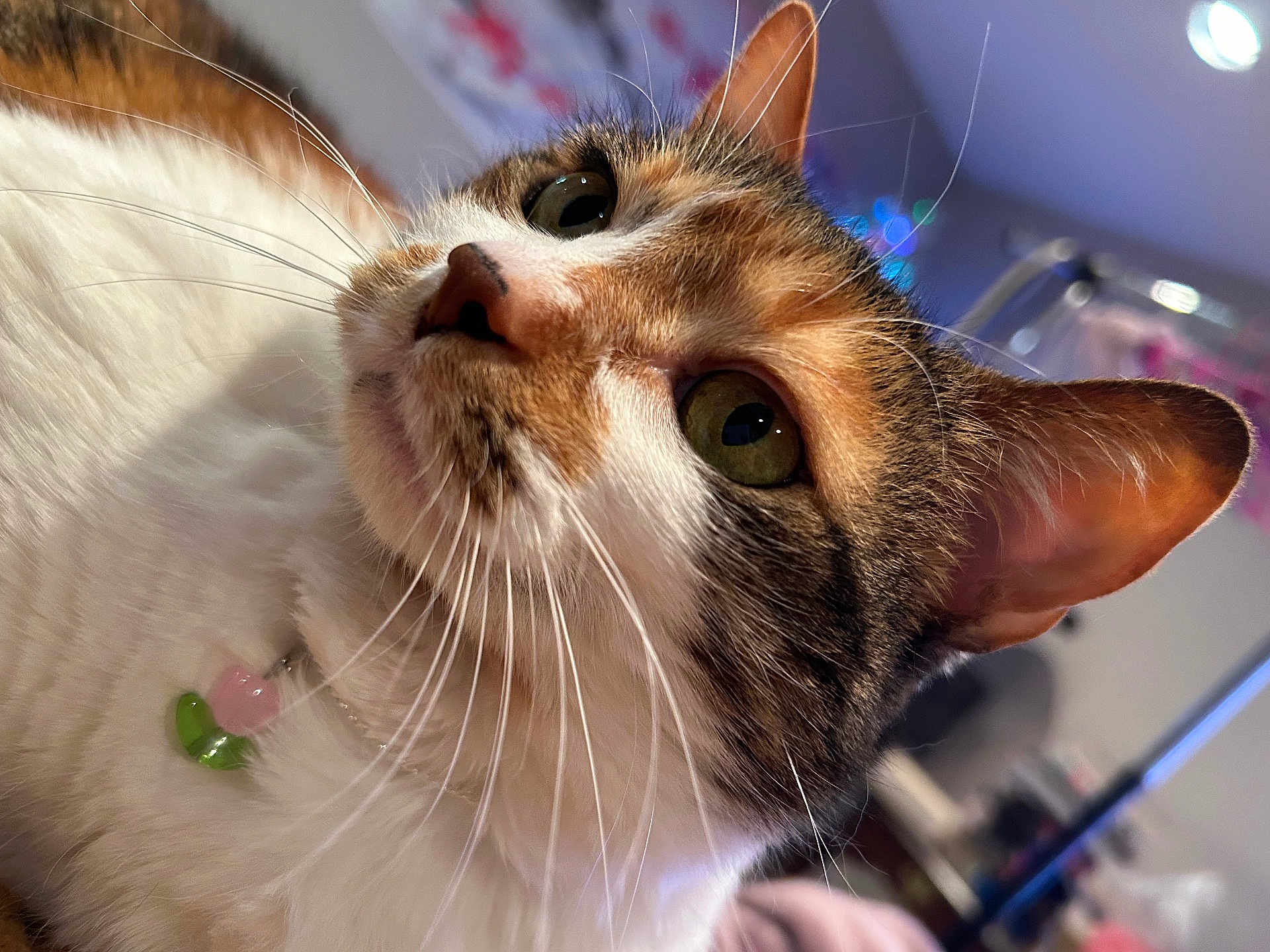 Mika