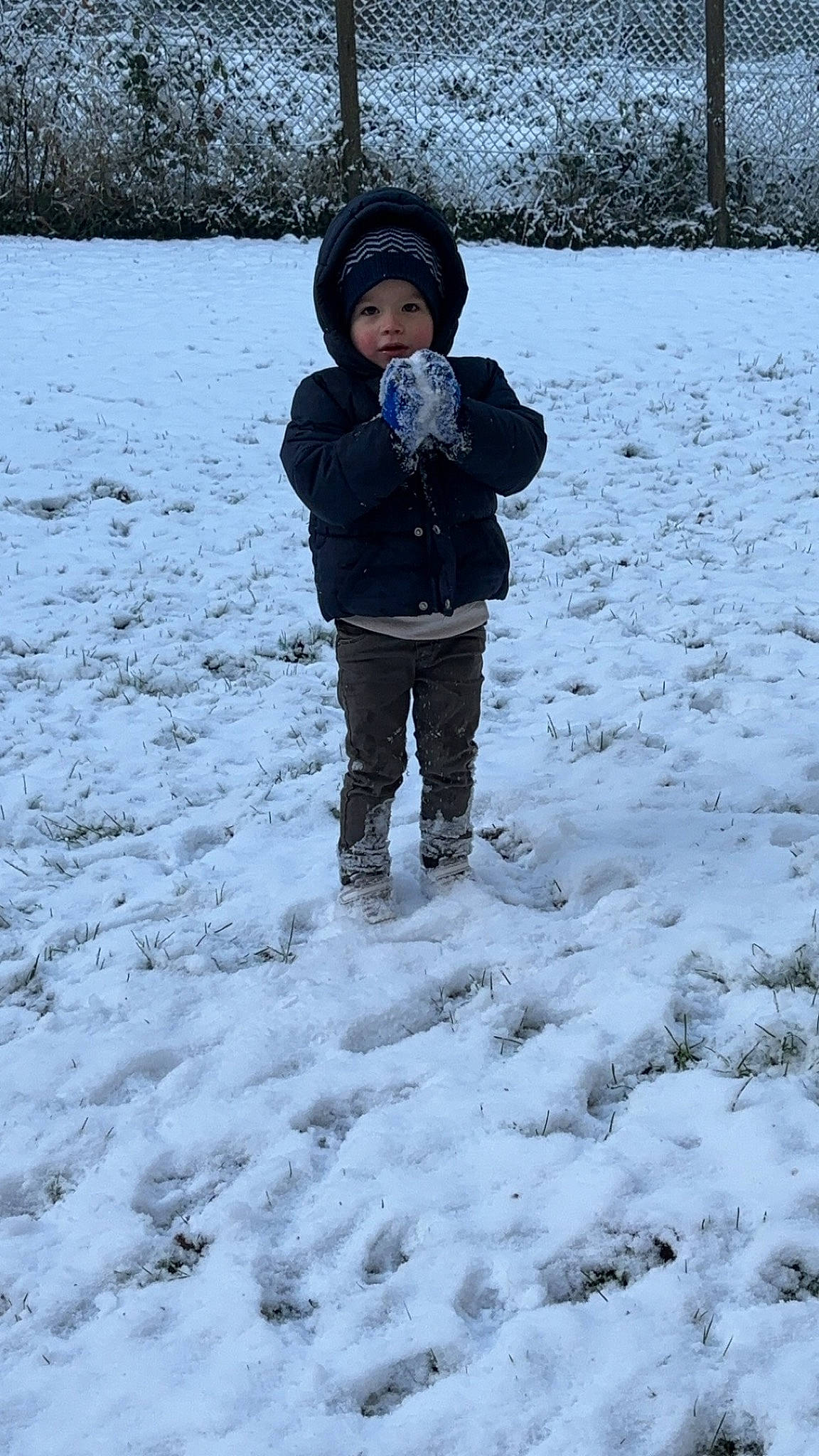 Ewen a rejoint le concours — aidez-le/la à gagner de superbes lots ! baby, beanie, child, freezing, frost, fun, fur, grass, headwear, hoodie, landscape, people_in_nature, person, playing_in_the_snow, precipitation, recreation, smile, snow, toddler, tree