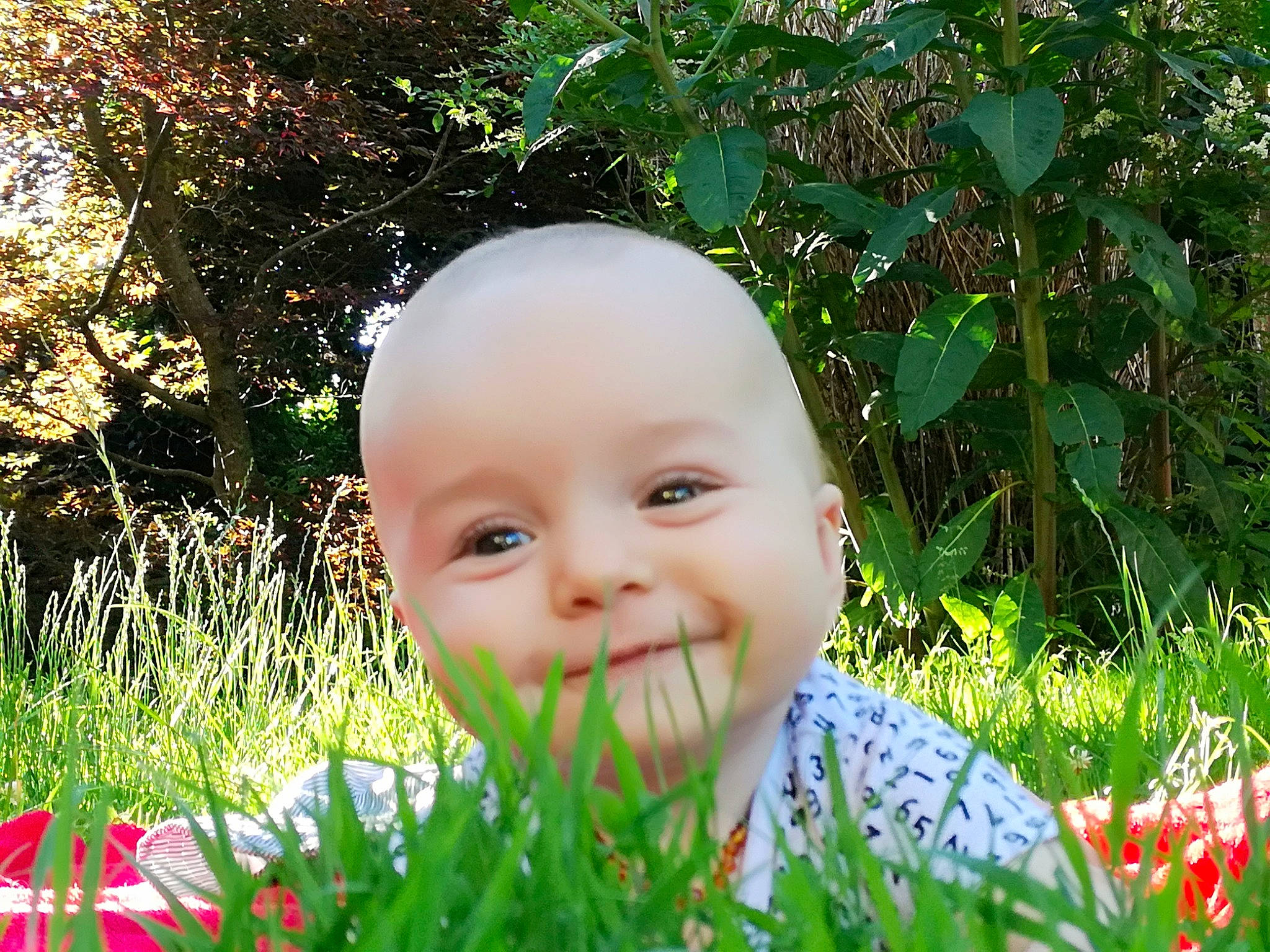 Julian participe au concours pour gagner de l'argent avec cette photo : baby, botany, cheek, child, eye, face, grass, grass_family, green, happy, head, headwear, leaf, lip, people_in_nature, person, plant, skin, smile, spring