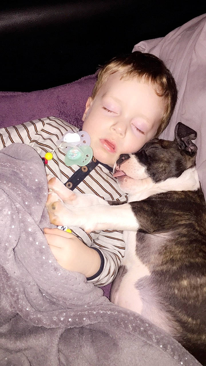 Lohan participe au concours pour gagner de l'argent avec cette photo : baby, canidae, carnivore, cat, cheek, child, fawn, felidae, fun, kitten, nose, person, skin, small_to_medium_sized_cats, toddler