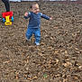 toddler, child, running, outdoor, grass, dry_leaves, toy_truck, jeans, sweater, adult, legs, play, happy, smile, yard, fence, casual_clothing, daylight, fun, motion
