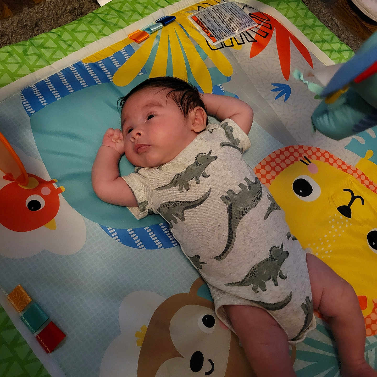 Brayson joined the competition — help win amazing prizes! baby, infant, play_mat, dinosaur_onesie, animal_print, indoor, floor, carpet, toy, colorful, child, cute, relaxed, lying_down, monkey, bird, lion, clothing, person, young_child