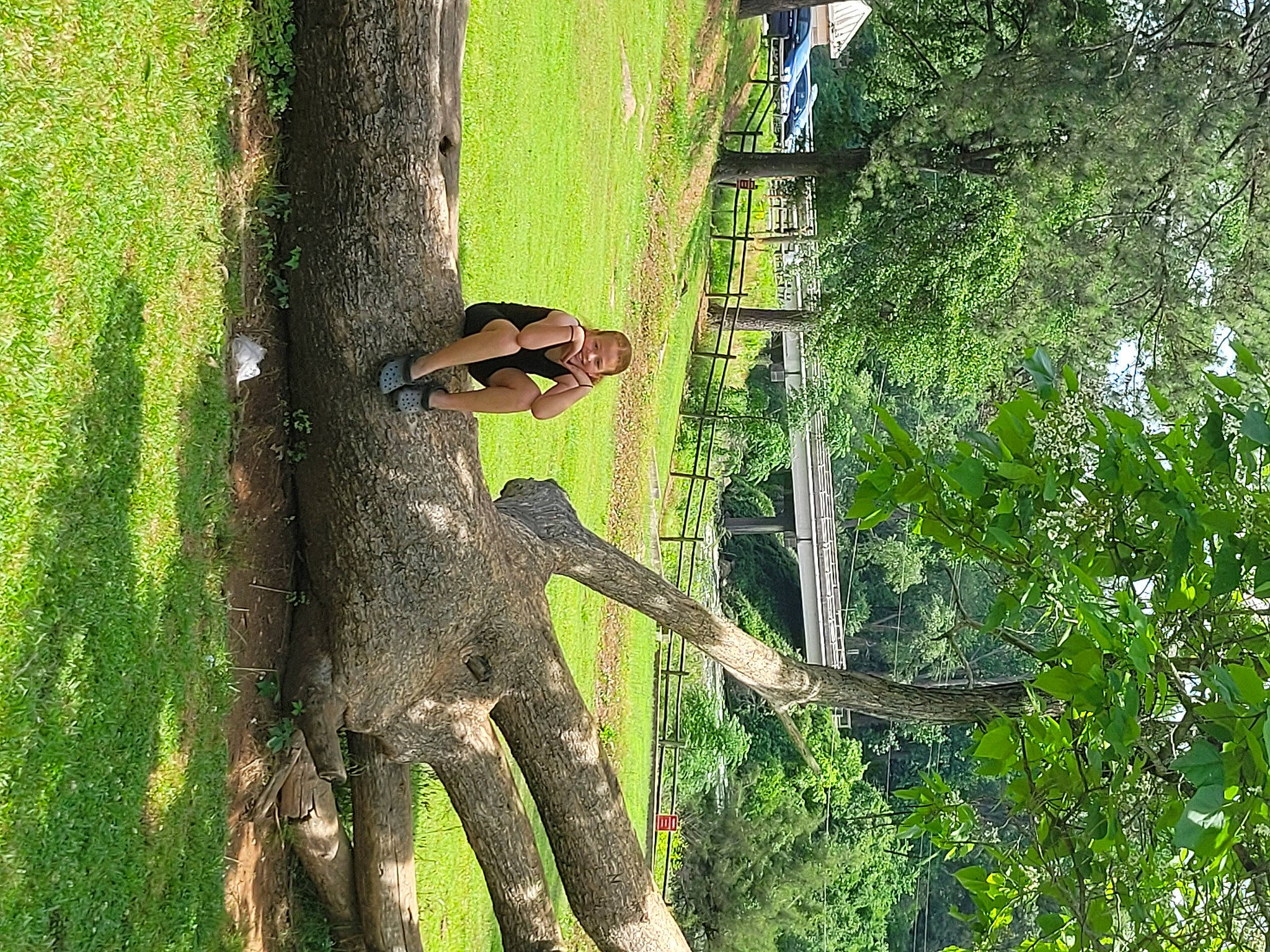 Mekiah is registered to the contest to win money with this photo: branch, forest, grass, joy, jungle, landscape, natural_landscape, nature_reserve, organism, people_in_nature, person, plant, street_light, temperate_broadleaf_and_mixed_forest, terrestrial_plant, tree, trunk, twig, vegetation, wildlife