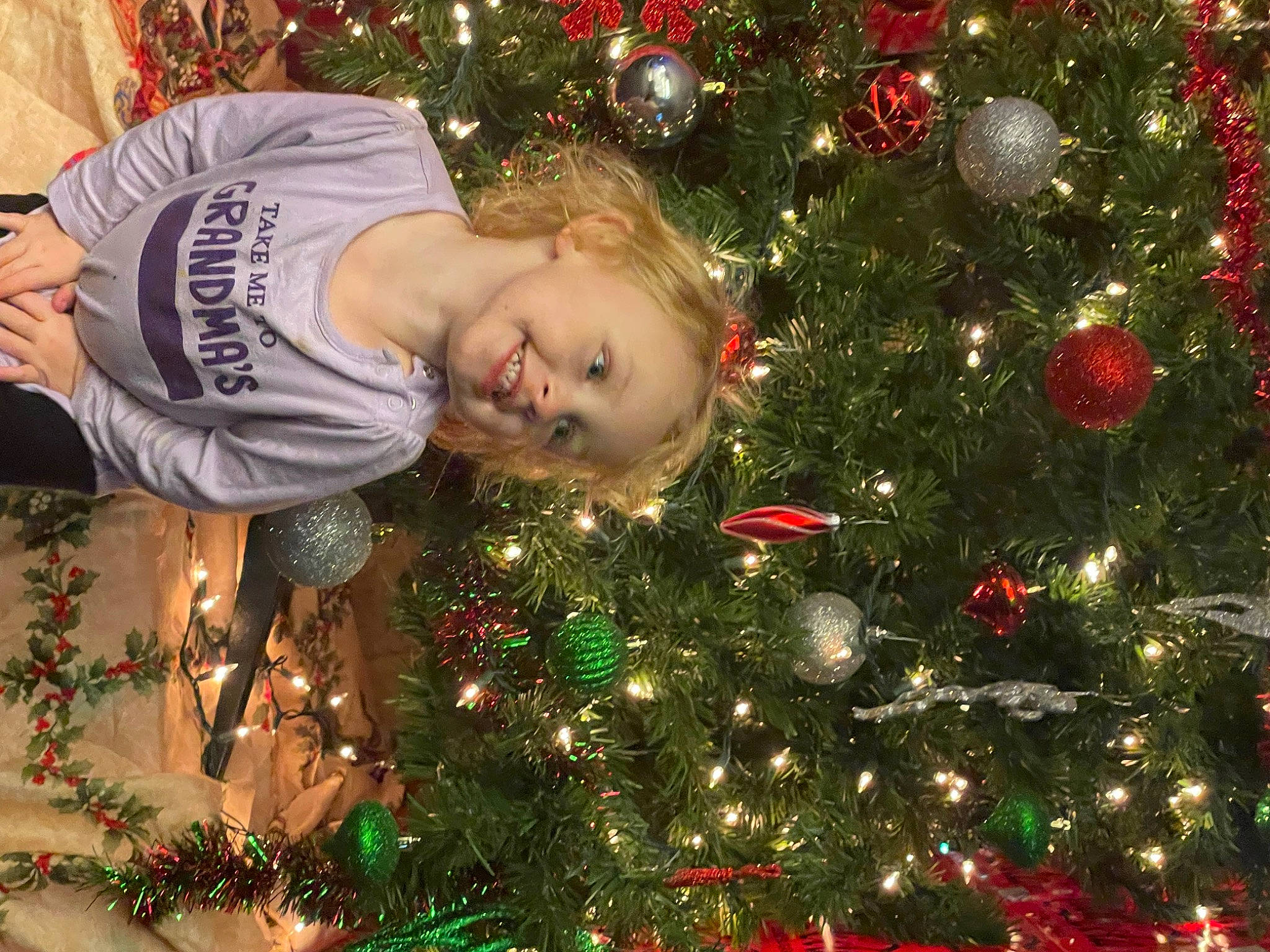 Mallie joined the competition — help win amazing prizes! christmas, christmas_decoration, christmas_ornament, christmas_tree, event, evergreen, grass, green, happy, holiday, holiday_ornament, joy, light, ornament, people_in_nature, person, plant, smile, tints_and_shades, tradition