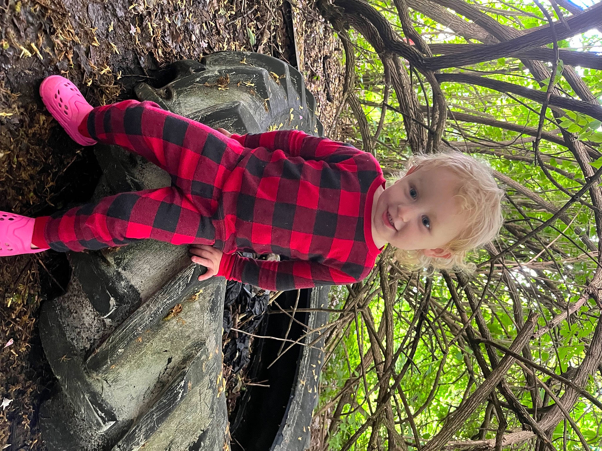 Mallie is registered to the contest to win money with this photo: baby, baby_toddler_clothing, carmine, child, fun, grass, happy, leaf, organism, pattern, people_in_nature, person, personal_protective_equipment, plaid, plant, tartan, toddler, tree, twig, winter