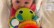 Freya is registered to the contest to win money with this photo: baby, baby_seat, caterpillar, child, closeup, clothing, colorful, comfort, cute, fabric, face, head, indoor, infant, looking, patterned, pink_bib, playtime, soft_toy, toy