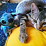 cat, tabby, plush_toy, stitch, blanket, yellow_cushion, bedspread, blue_pattern, indoor, pet, animal, relaxed, soft_texture, paw, ears, whiskers, closeup, fur, toy, resting
