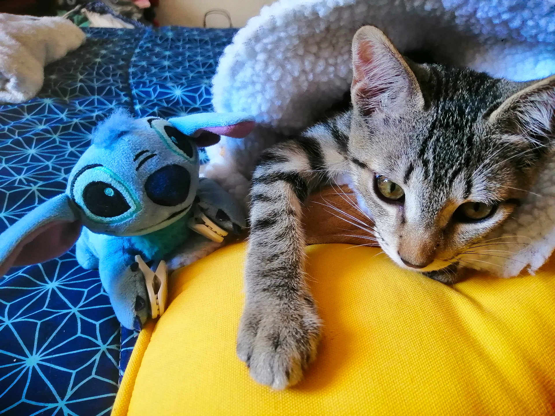 Félix
