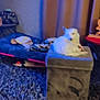 Bella participe au concours pour gagner de l'argent avec cette photo : dog, white_dog, ottoman, rug, side_table, blanket, indoor, furniture, curtains, floor, decor, pet, animal, cozy, living_room, blurred, low_light, tile_floor, table, home