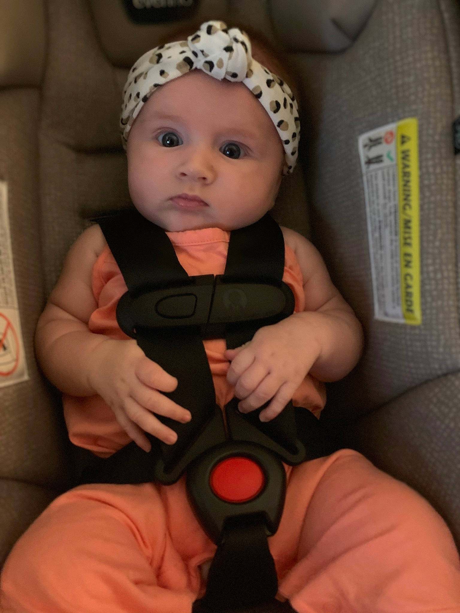 Giana is registered to the contest to win money with this photo: arm, baby, baby_carriage, baby_products, baby_safety, baby_toddler_clothing, cap, car_seat, cheek, child, comfort, eye, eyelash, finger, headwear, nail, person, sitting, skin, thumb